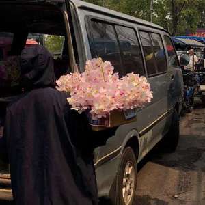 2021最新亚洲国产成人a在线
